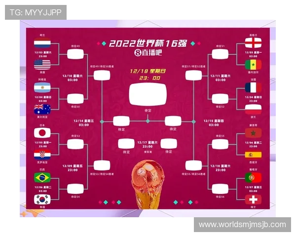 世界杯预测网站常见问题解答与用户使用体验分享，帮助新手快速上手