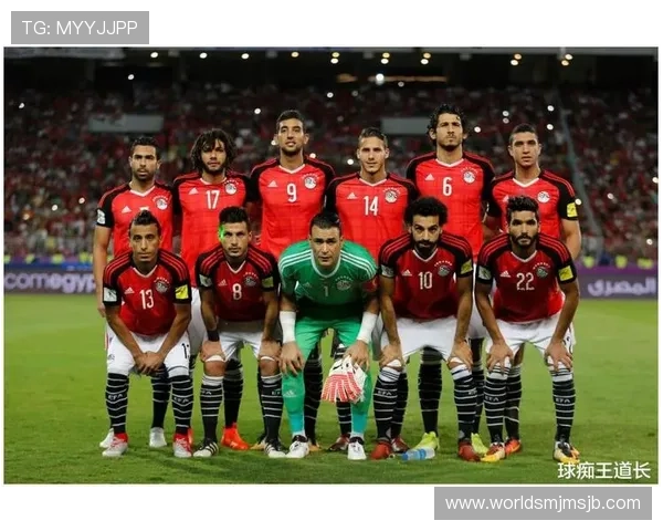 专业足球比分网即时比分世界杯赛况分析,提供详细的比赛数据和战术分析内容