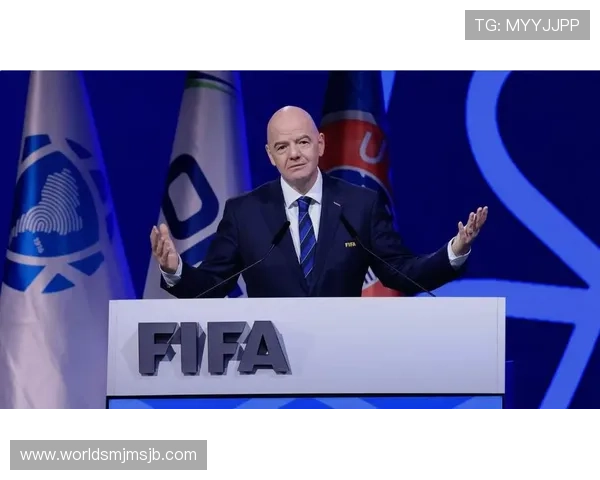 未来世界杯举办城市的选择过程与国际足球联合会的决策依据