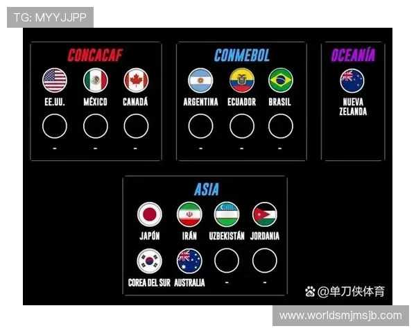足球世界杯预选赛结果公布，哪些球队成功晋级下一阶段比赛值得关注