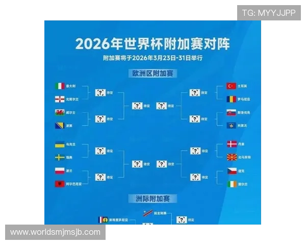 2026年世界杯瑞典对阵突尼斯比赛中两队累计犯规数详细统计分析